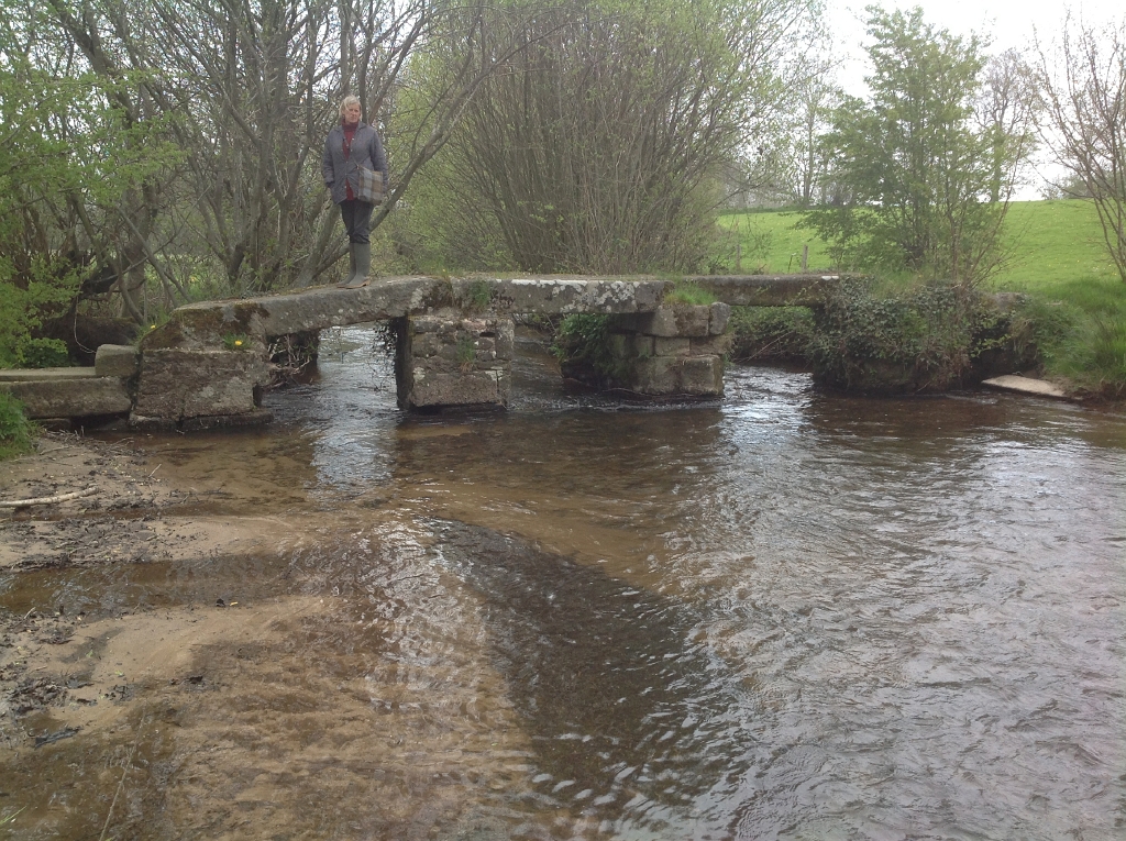 20130501 ST AUBIN-DES-BOIS Clapper Bridge 08.jpg